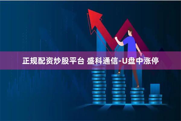 正规配资炒股平台 盛科通信-U盘中涨停